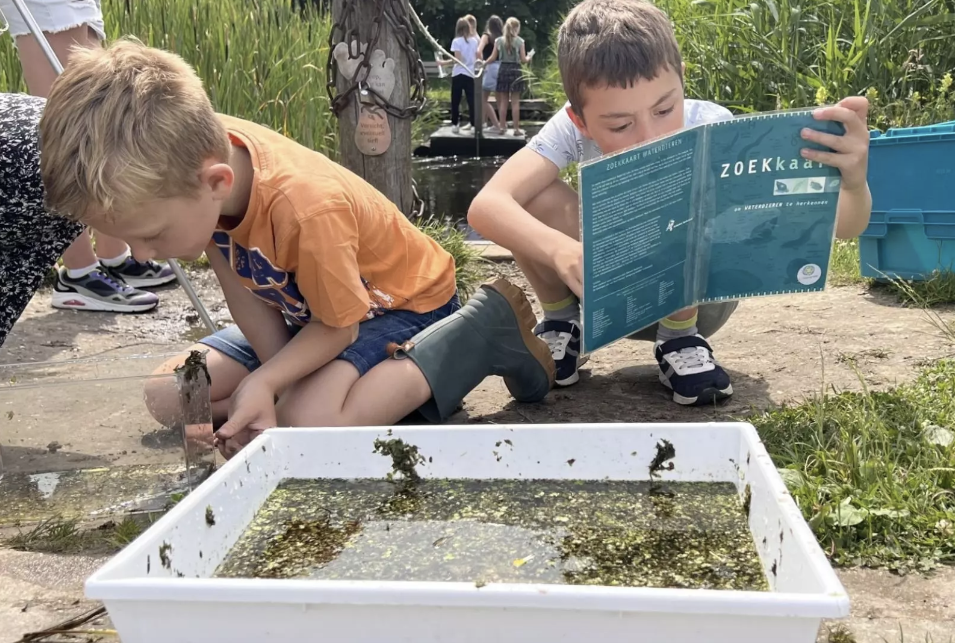 Les in de buitenlucht